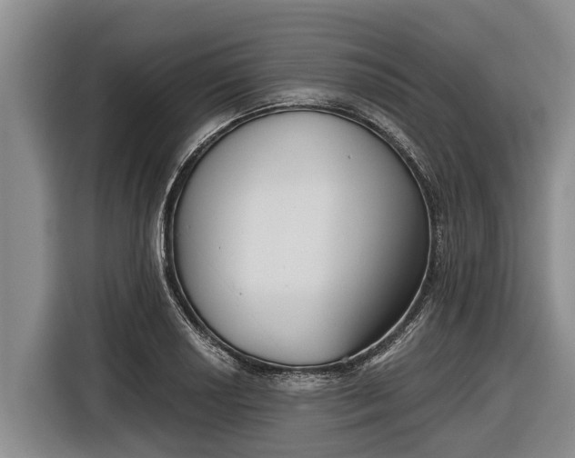 X0000116811034200912241217