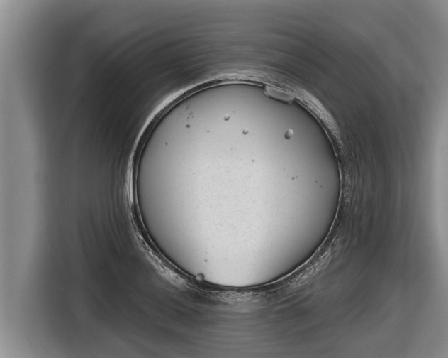 X0000116811036200912241217