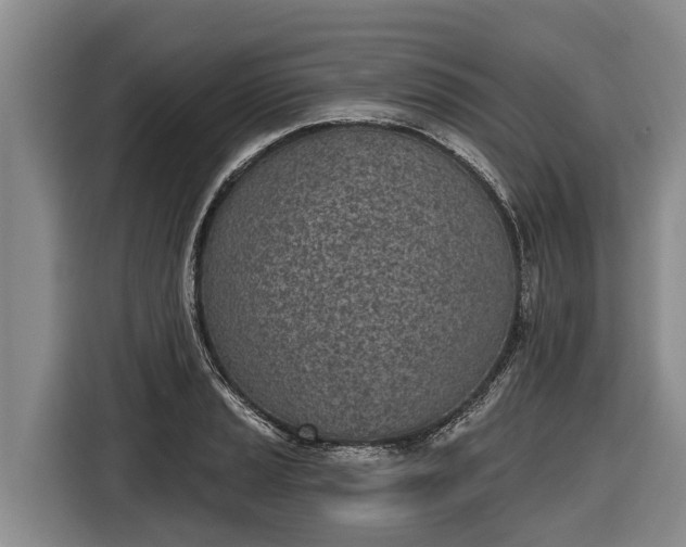 X0000116811037200912241217