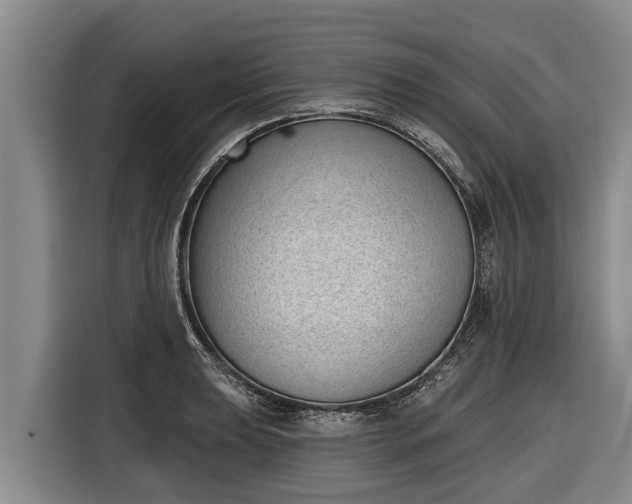 X0000116811039200912241217