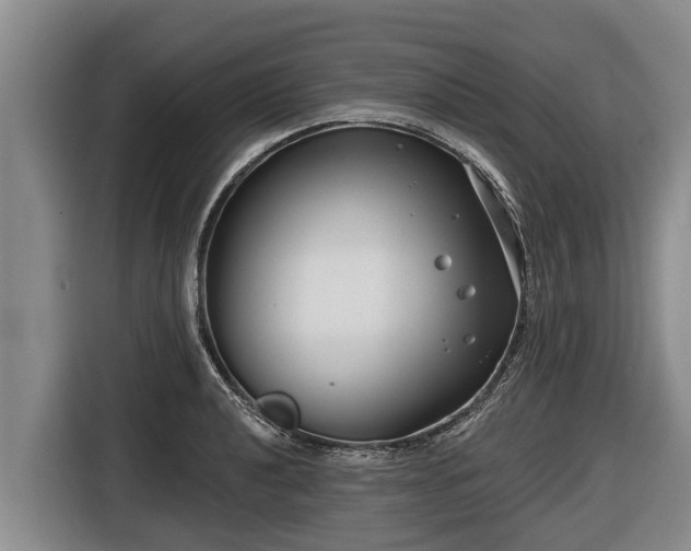 X0000116811040200912241217