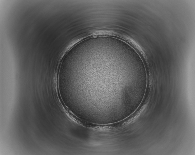 X0000116811041200912241217