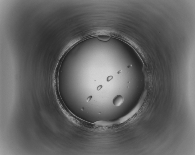 X0000116811042200912241217