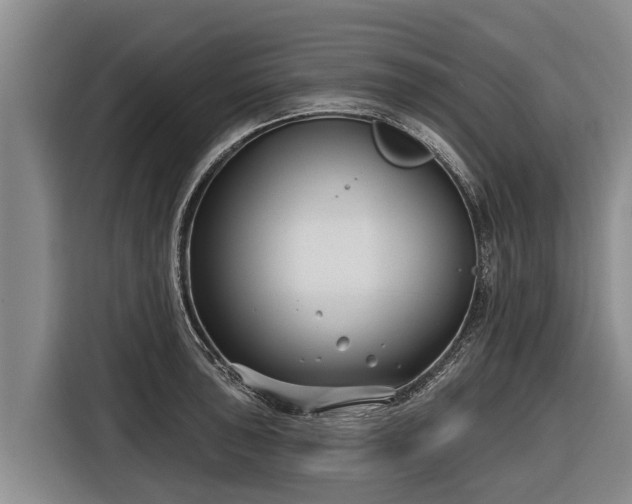 X0000116811043200912241217