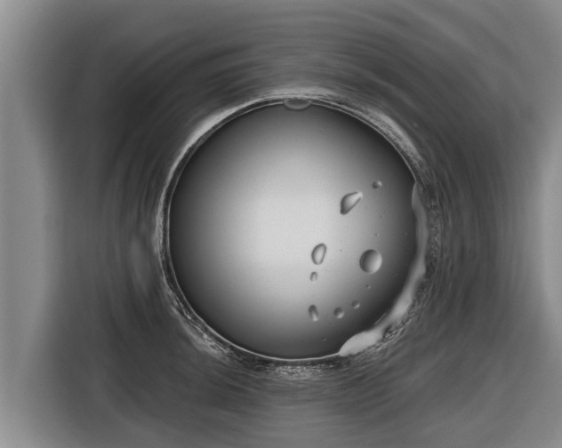 X0000116811044200912241217