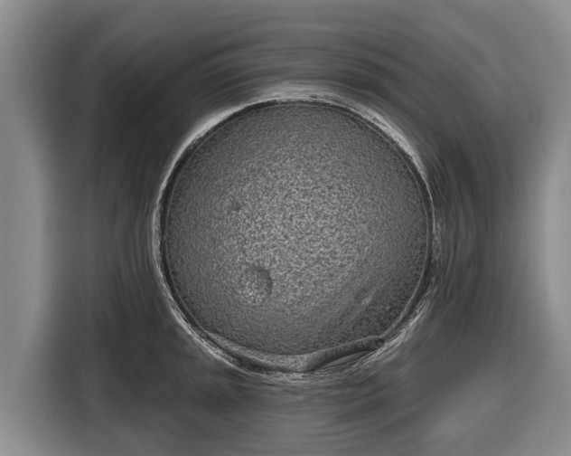 X0000116811045200912241217