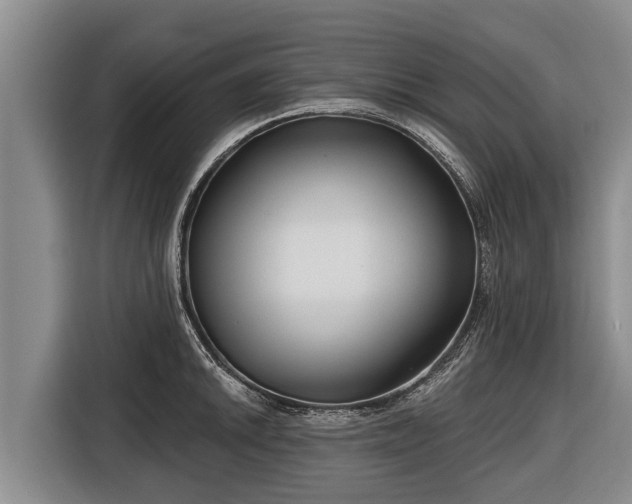 X0000116811046200912241217