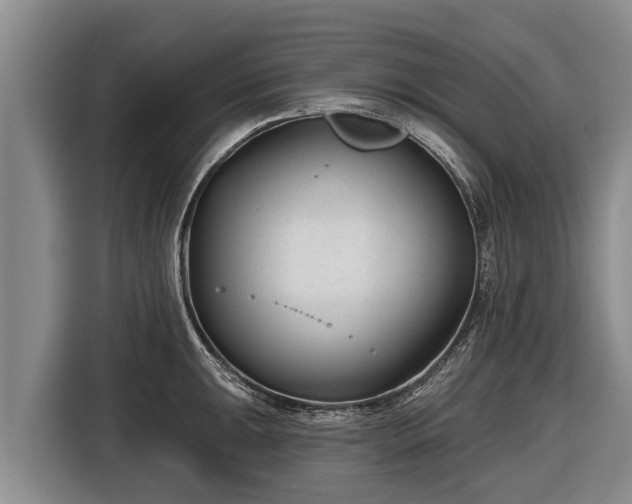 X0000116811047200912241217