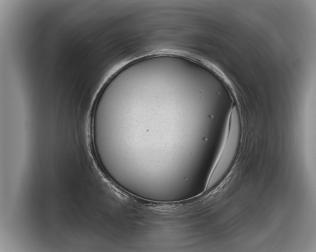 X0000116811048200912241217