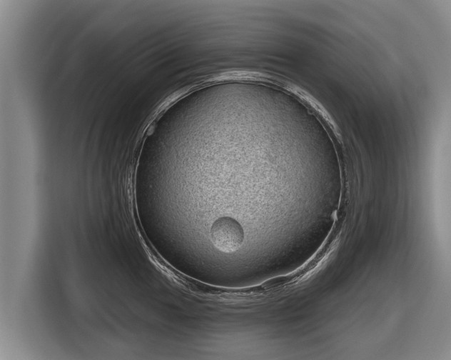 X0000116811049200912241217