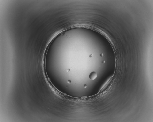 X0000116811050200912241217