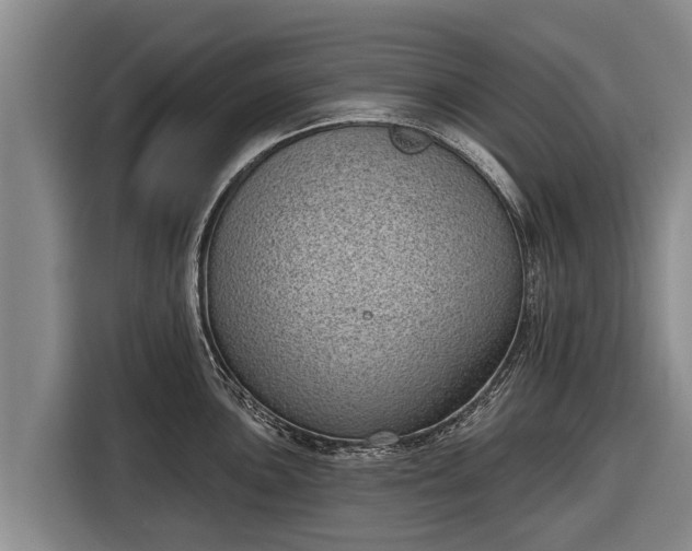 X0000116811051200912241217