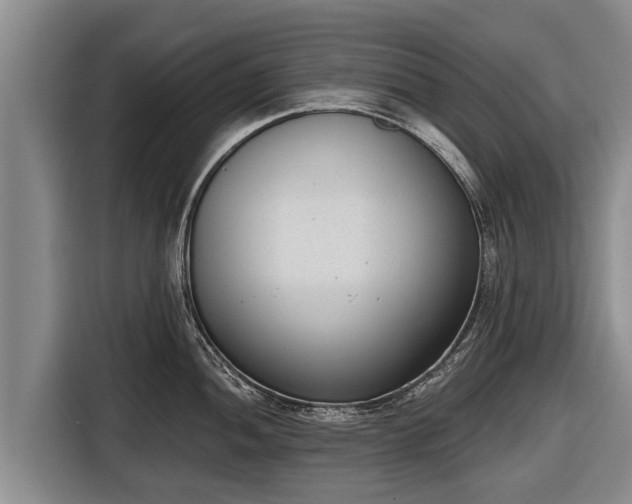 X0000116811052200912241217