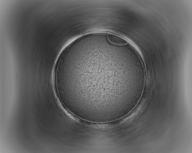 X0000116811053200912241217