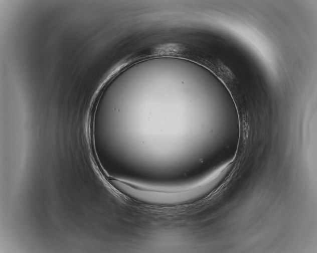 X0000116811054200912241217