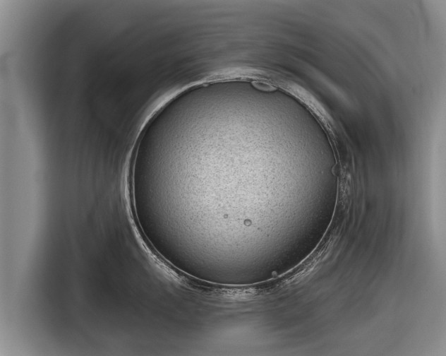 X0000116811055200912241217