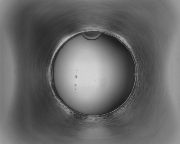 X0000116811056200912241217