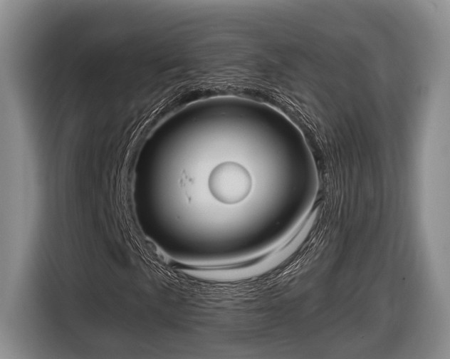 X0000116811057200912241216