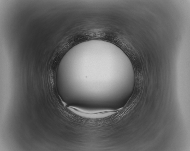 X0000116811058200912241216