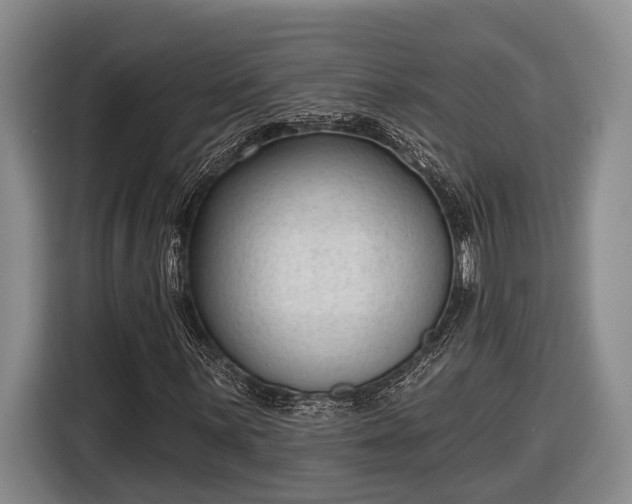 X0000116811059200912241216