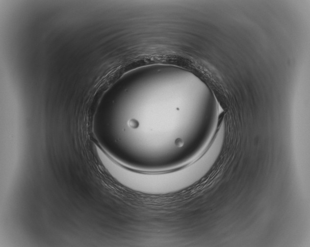 X0000116811060200912241216