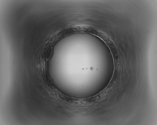 X0000116811061200912241216