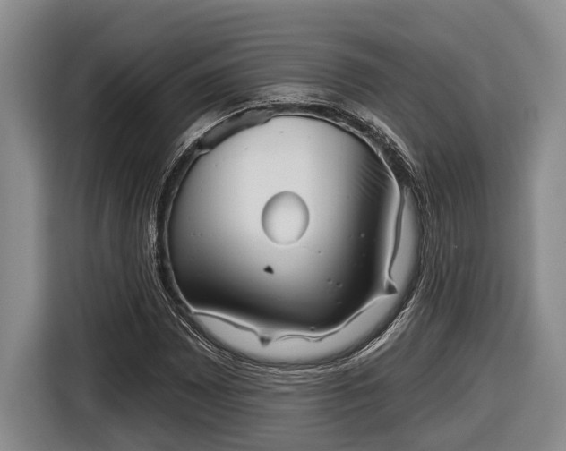 X0000116811065200912241216