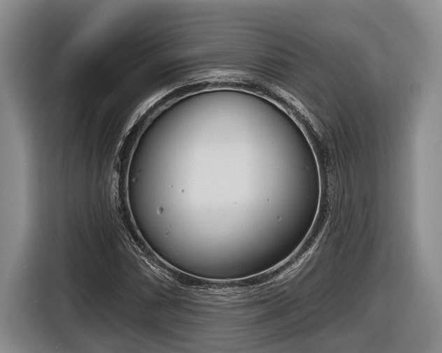 X0000116811066200912241216