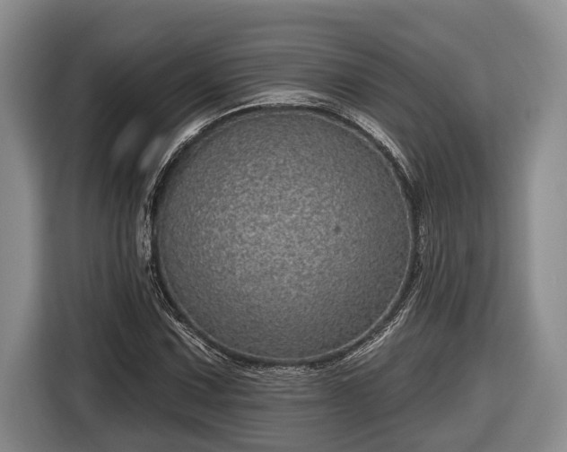 X0000116811067200912241216