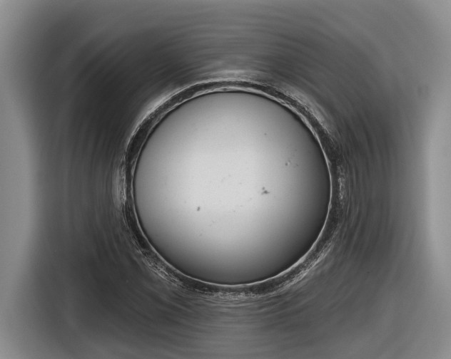 X0000116811069200912241216