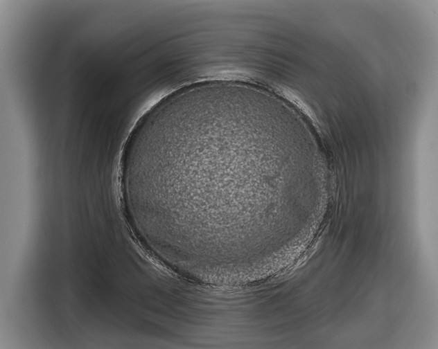 X0000116811071200912241216