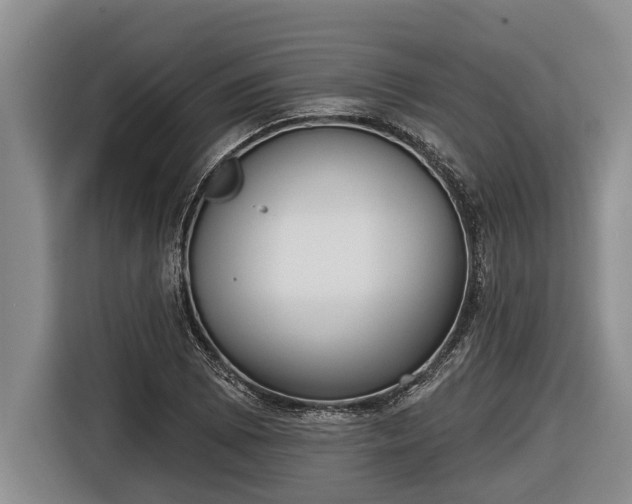 X0000116811073200912241216