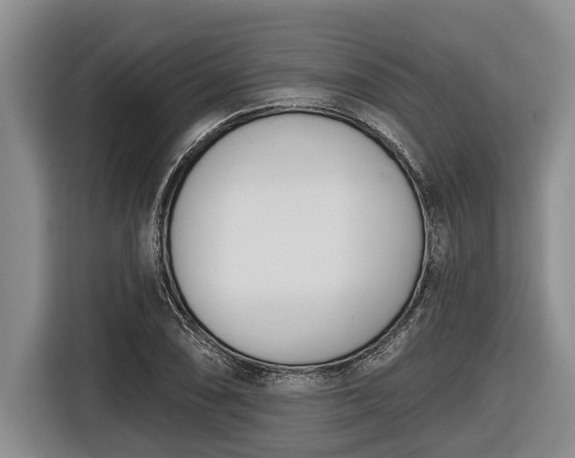 X0000116811074200912241216