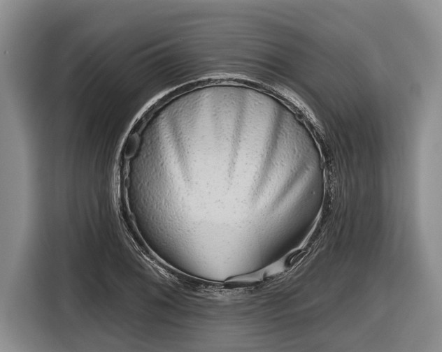 X0000116811076200912241216