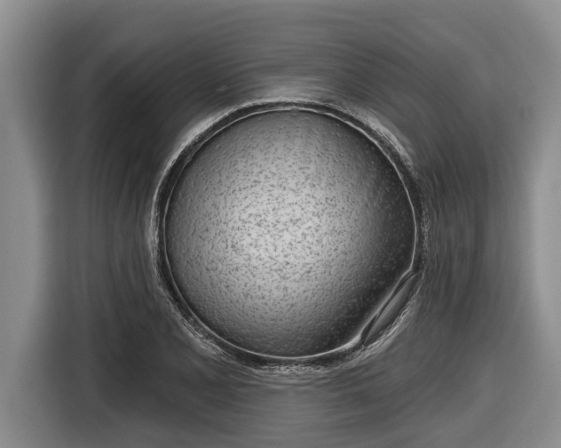 X0000116811077200912241216