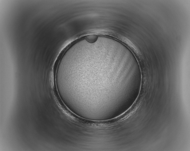 X0000116811079200912241216