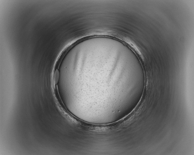 X0000116811080200912241216