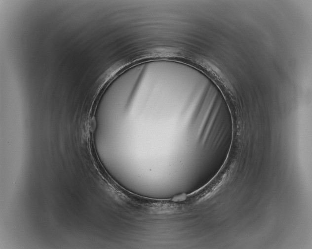 X0000116811081200912241216