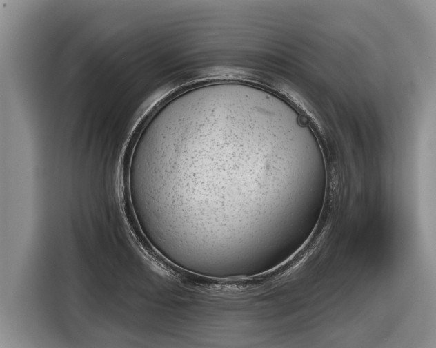 X0000116811082200912241216