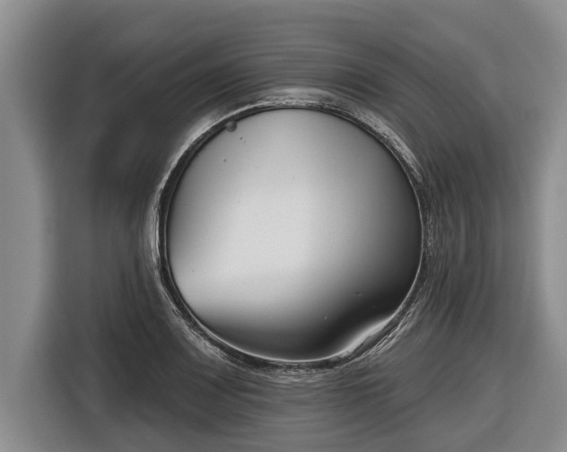 X0000116811083200912241216