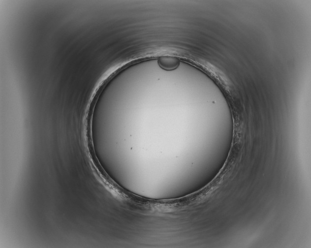 X0000116811086200912241216