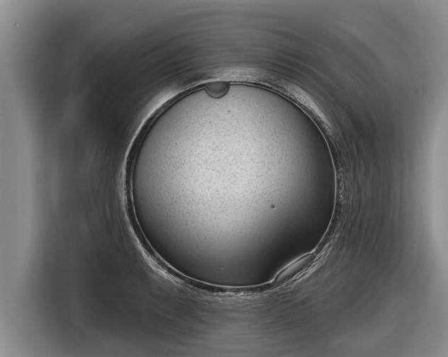 X0000116811087200912241216