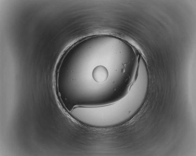 X0000116811088200912241216