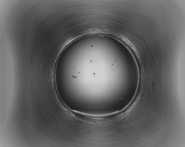 X0000116811089200912241216