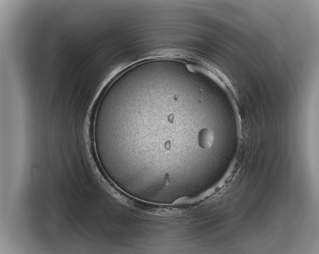 X0000116811091200912241216