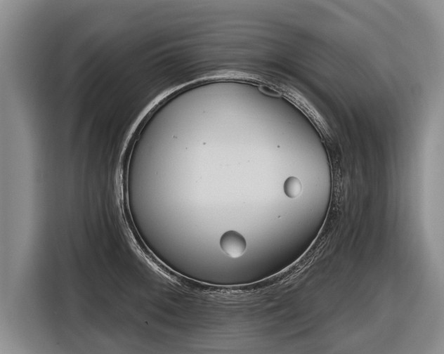 X0000116811092200912241216