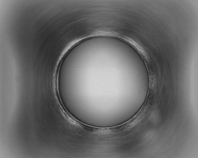 X0000116811094200912241216