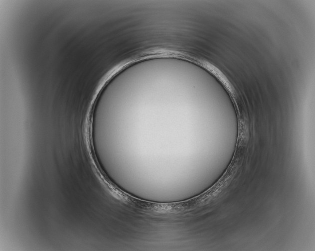 X0000116811098200912241216