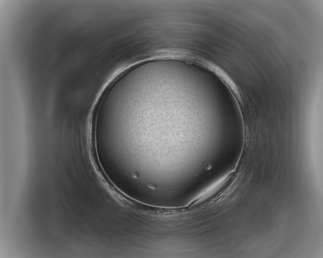 X0000116811099200912241216