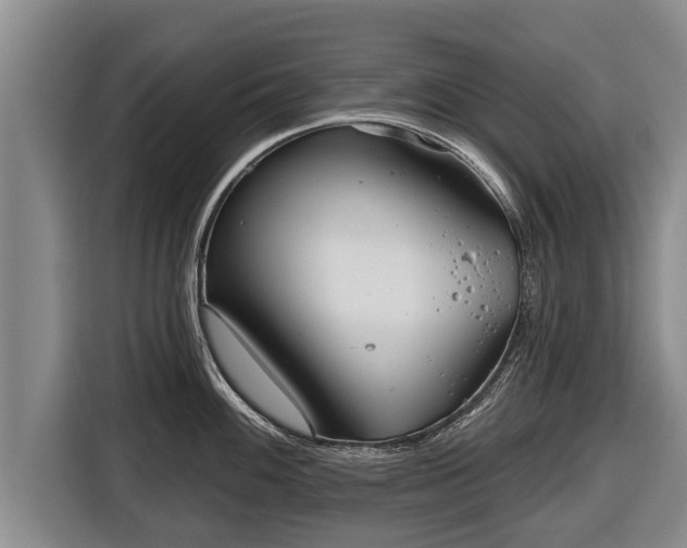 X0000116811100200912241216